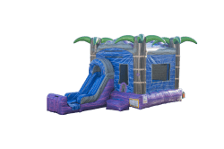 C1040 Mini20Purple20Crush20Combo HR 06 1774017855 1 Purple Crush Combo SL