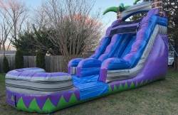 Purple Crush Water 15' Slide